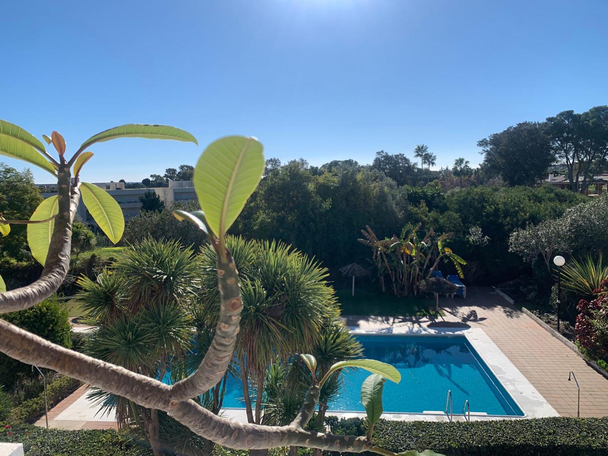 Sotogrande Duplex Near Polo, Best Pool View, 2 Pools, Full South, 7 Drive To Beaches And Port Εξωτερικό φωτογραφία